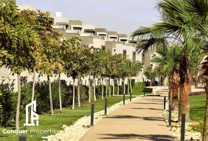 66696117 - Property Image 3