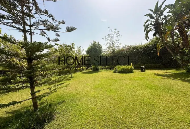 71646249 - Property Image 3
