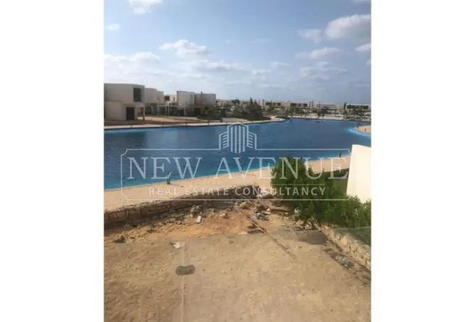 113522918 - Property Image 2