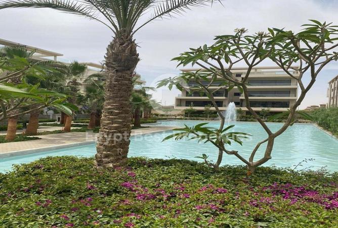 53731996 - صورة العقار 3