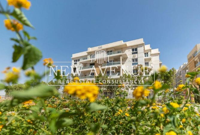 66688376 - الصورة الرئيسية للعقار