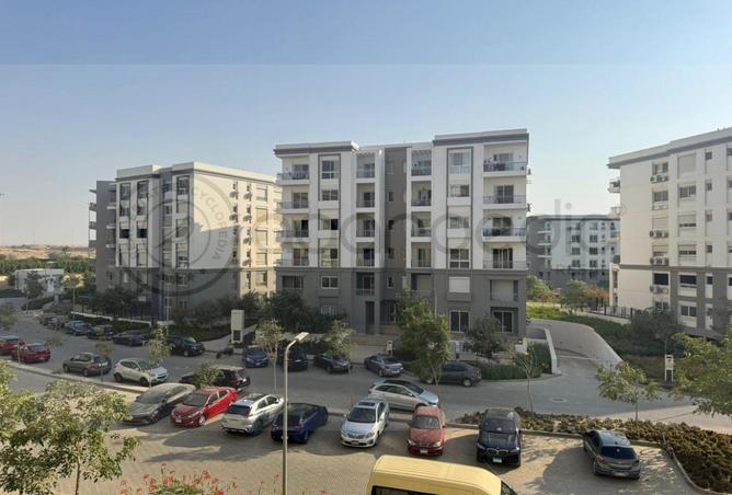 62651236 - Property Image 2