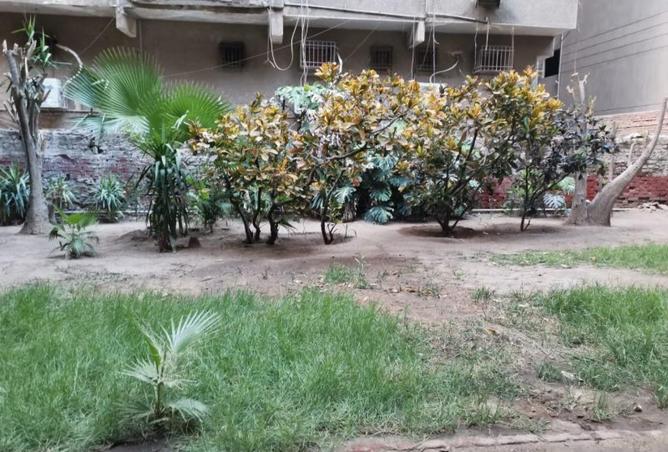 95202013 - الصورة الرئيسية للعقار