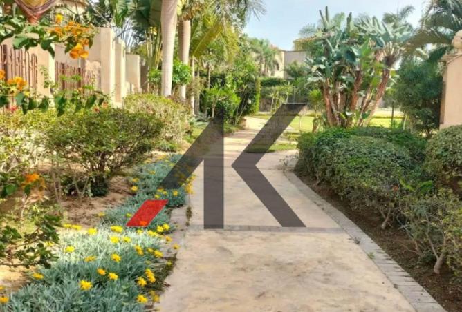 56493578 - صورة العقار 2