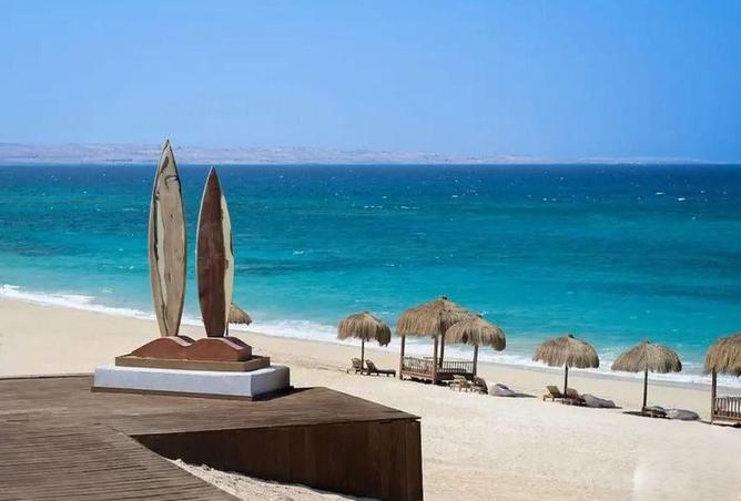 70365847 - صورة العقار 3