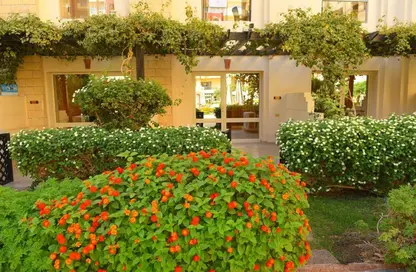 Apartment - Studio - 1 Bathroom for sale in Arabia Area - Hurghada - Red Sea