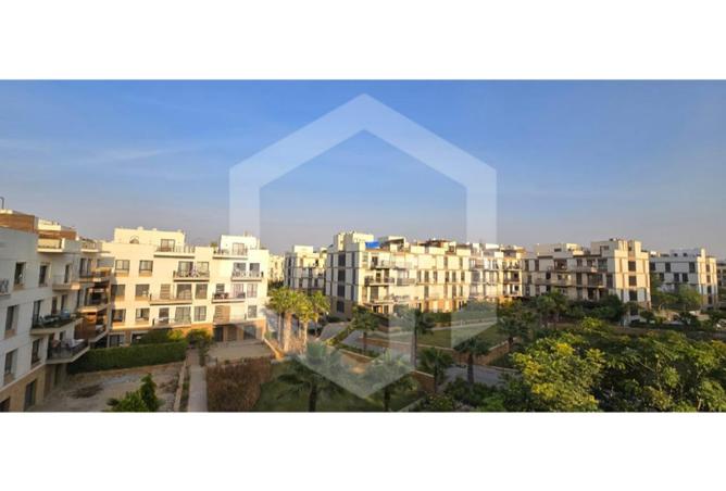 53724842 - Property Image 3