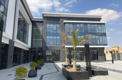 Clinic - Studio - 1 for rent in Agora Zayed - Al Shabab St. - Sheikh Zayed City - Giza