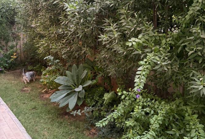 64379536 - Property Image 2