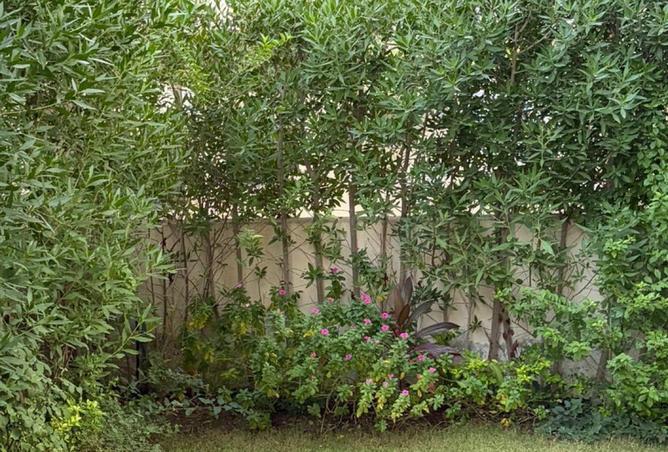 64379536 - Property Image 3