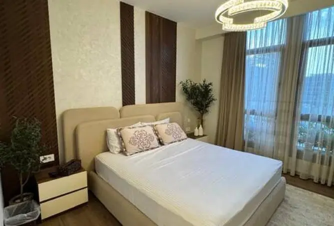 113540745 - Property Image 3