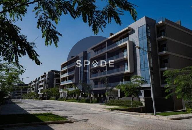 60470888 - Property Image 2