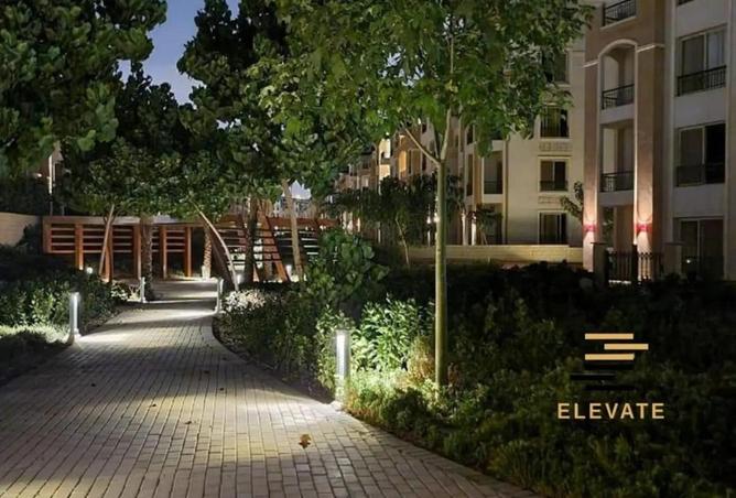 66177468 - Property Image 3