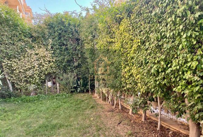 66967399 - صورة العقار 3