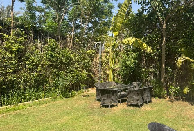 67469376 - Property Image 3