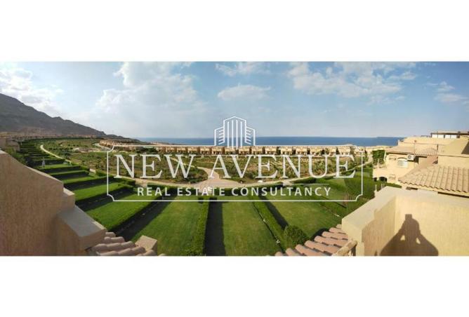 63891108 - صورة العقار 3