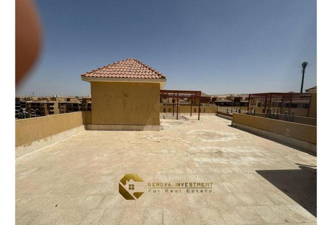 8606195 - Property Image 3