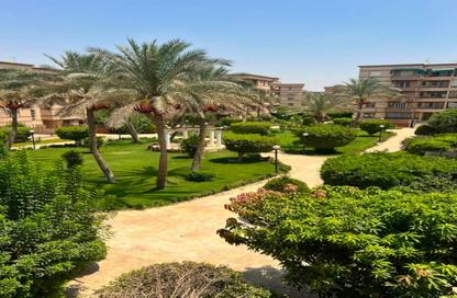 Apartment - 4 Bedrooms - 3 Bathrooms for rent in El Rehab Extension - Al Rehab - New Cairo City - Cairo Apartment - 4 Bedrooms - 3 Bathrooms for rent in El Rehab Extension - Al Rehab - New Cairo City - Cairo