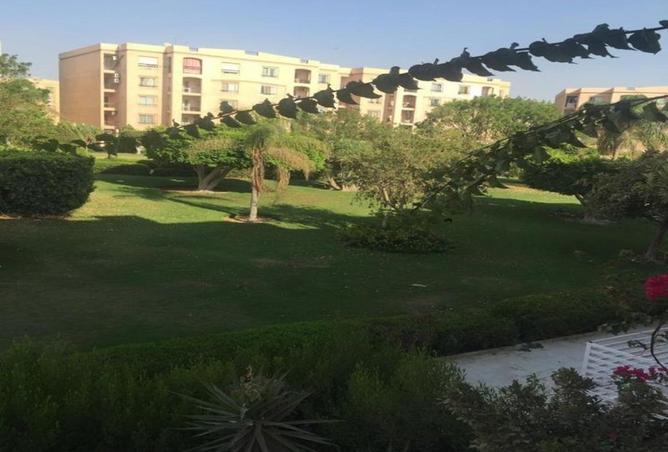 55503013 - صورة العقار 3