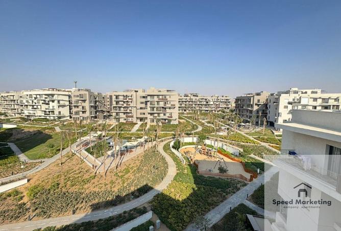 65412763 - Property Image 3