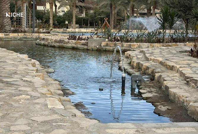 69831711 - صورة العقار 3