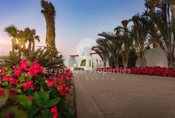 65160931 - الصورة الرئيسية للعقار