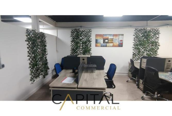 105162117 - Property Image 3