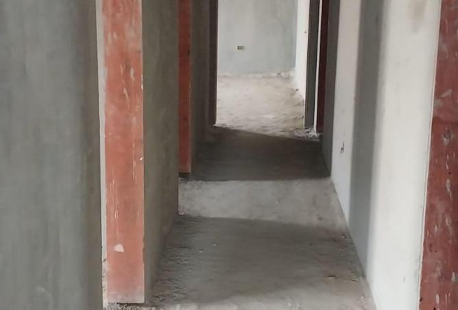 53477916 - صورة العقار 2