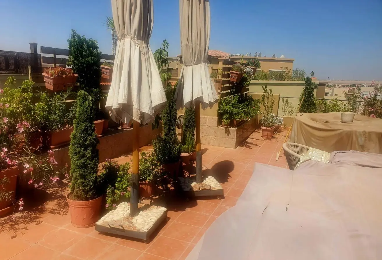 116496864 - Property Main Image