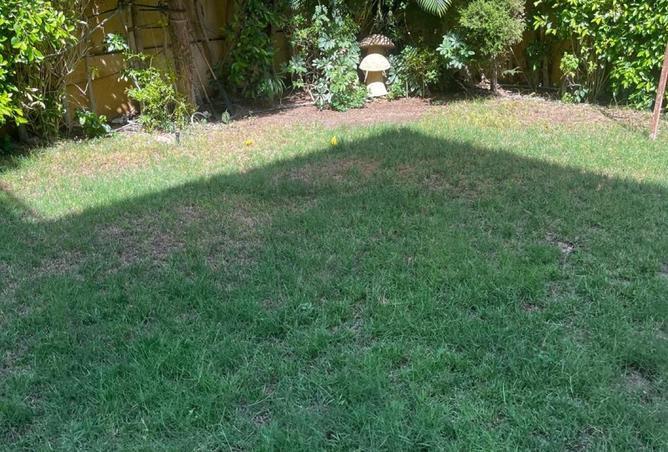 63083839 - Property Main Image