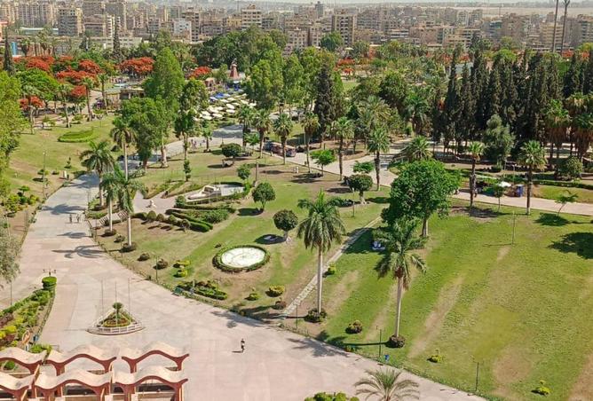81037940 - الصورة الرئيسية للعقار