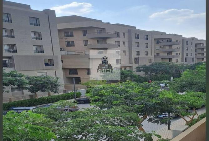 65156918 - Property Image 3