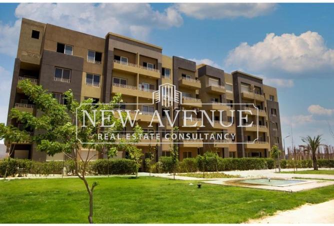 64379747 - Property Image 2