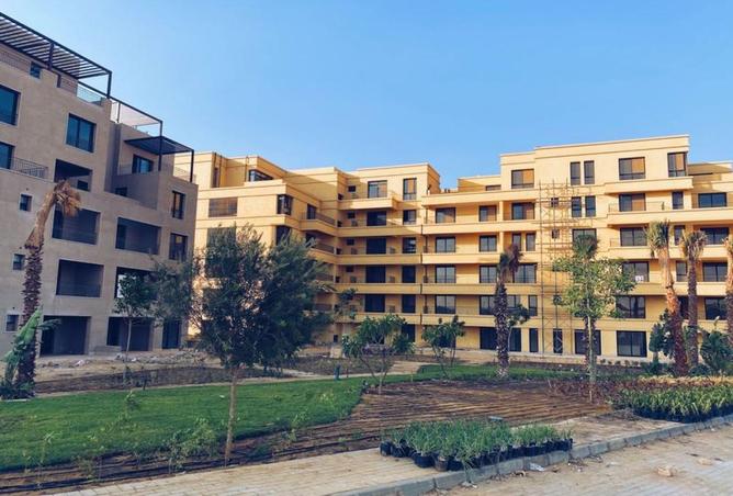 60233228 - Property Image 3