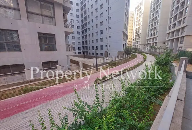115707801 - Property Image 3