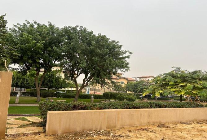 8629803 - Property Image 3