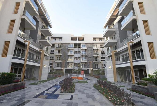 97715602 - Property Image 3