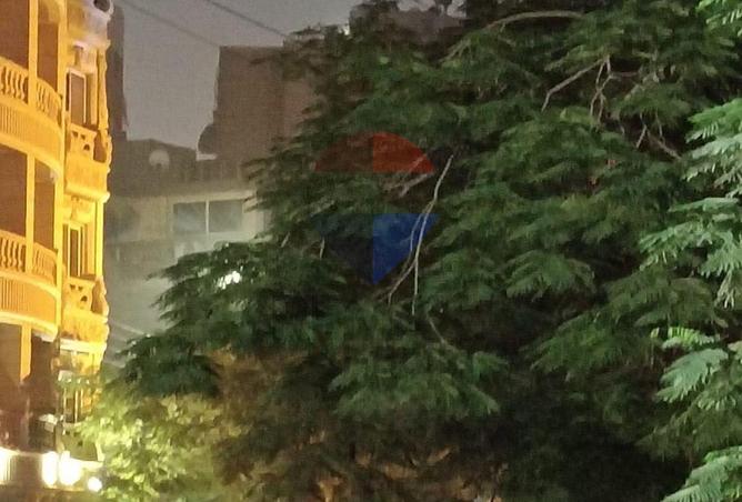 66687495 - Property Image 3