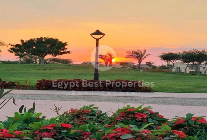 8498701 - صورة العقار 2