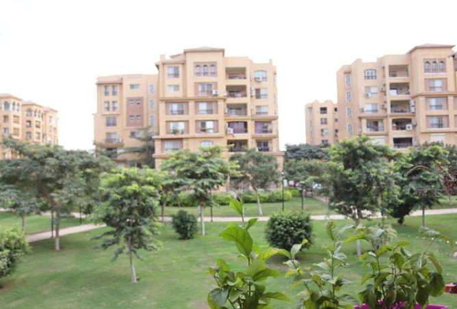 63889393 - صورة العقار 2