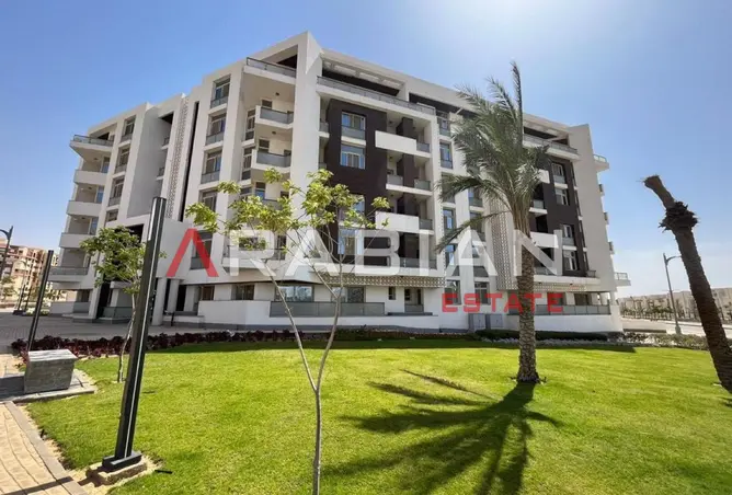 116753116 - Property Image 3