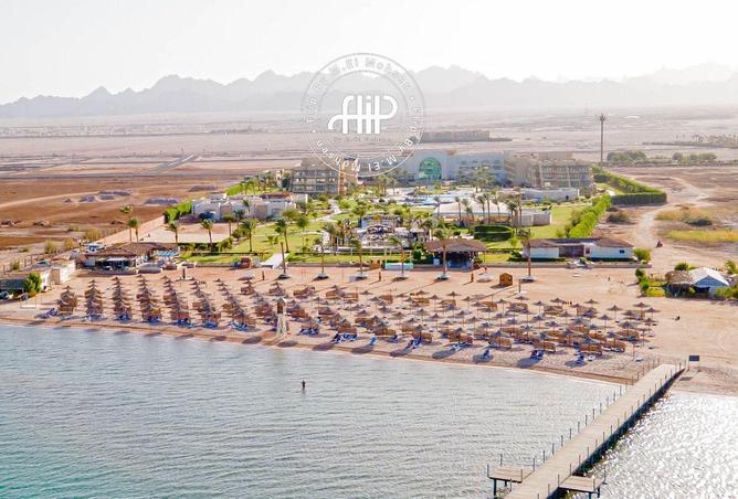 55004971 - صورة العقار 3