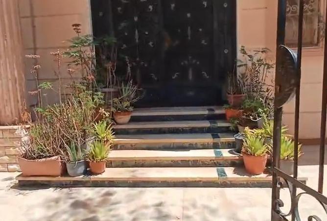 65409339 - صورة العقار 3