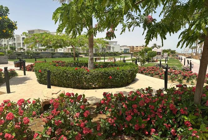 8484353 - صورة العقار 2