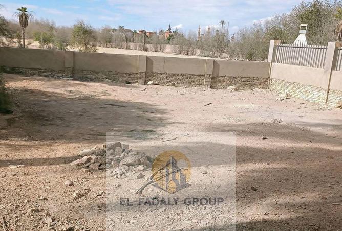 8706655 - صورة العقار 3