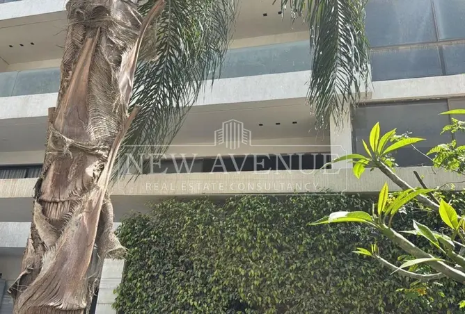 111306165 - Property Image 3