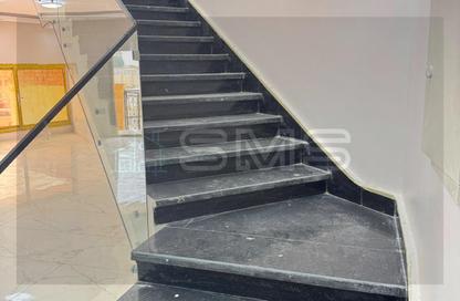 Apartment - 3 - 3 for rent in New Lotus - The 5th Settlement - New Cairo City - Cairo