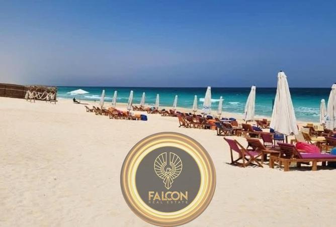 66166842 - Property Image 3