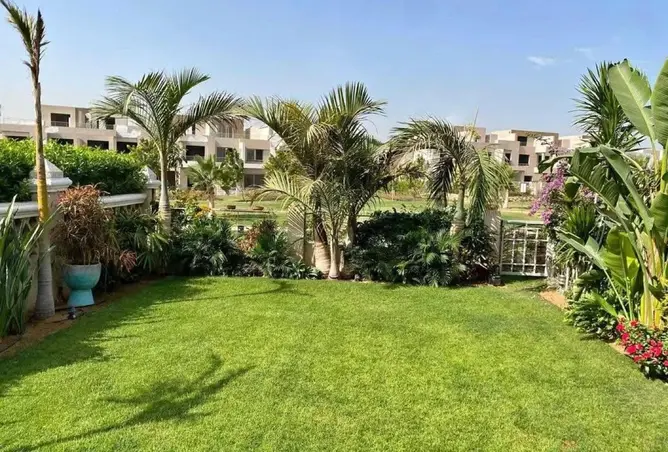 113252293 - Property Image 3
