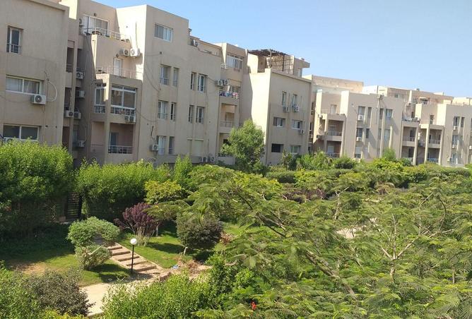 70633449 - Property Image 2